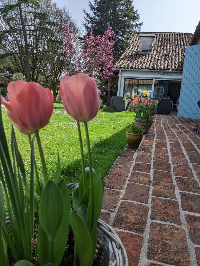Bed and Breakfast Domaine Du Tafiart Sarron Экстерьер фото